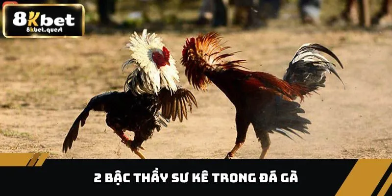 Trận Đá Gà 24 Tỷ - Cuộc Chiến Chấn Động Giới Đá Gà 8KBET 3 2 bậc thầy sư kê trong đá gà