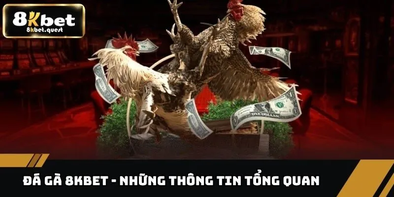 Đá Gà 8kbet 1 Đá gà 8KBET - Những thông tin tổng quan