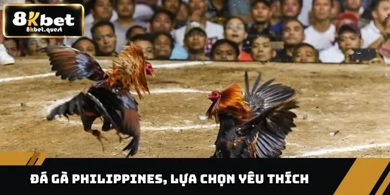 Đá Gà Philippines Kịch Tính Từng Giây Tại Nhà Cái 8KBET 2 Đá gà Philippines, lựa chọn yêu thích của bet thủ hiện đại