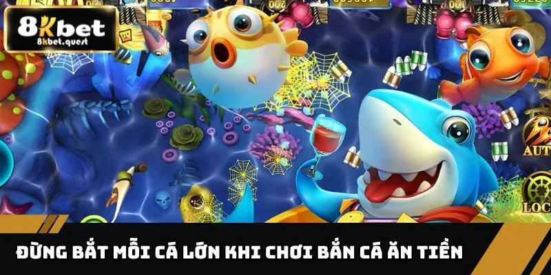 Mẹo Bắn Cá Ăn Tiền 8KBET - Dễ Ăn, Dễ Trúng, Sinh Lời Khủng 3 Mẹo bắn cá ăn tiền hiệu quả là đừng nên chỉ bắn cá lớn