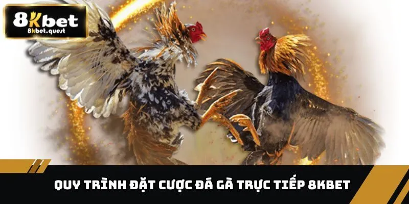 Đá Gà Trực Tiếp 8KBET - Điểm Đến Ưa Thích Của Mọi Người 4 Quy trình đặt cược an toàn của đá gà trực tiếp 8KBET