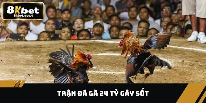 Trận Đá Gà 24 Tỷ - Cuộc Chiến Chấn Động Giới Đá Gà 8KBET 2 Trận đá gà 24 tỷ gây sốt