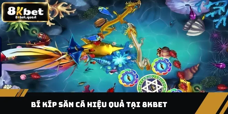 Khám Phá Tất Tần Tật Ưu Điểm Của Game Bắn Cá 8KBET 4 Bí kíp săn cá giúp ngư thủ kiếm lời siêu khủng